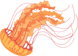 jellyfish