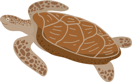 Turtle